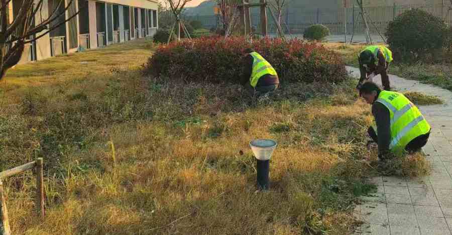 昆山工廠綠化養(yǎng)護(hù) 工廠綠化養(yǎng)護(hù)(圖1)