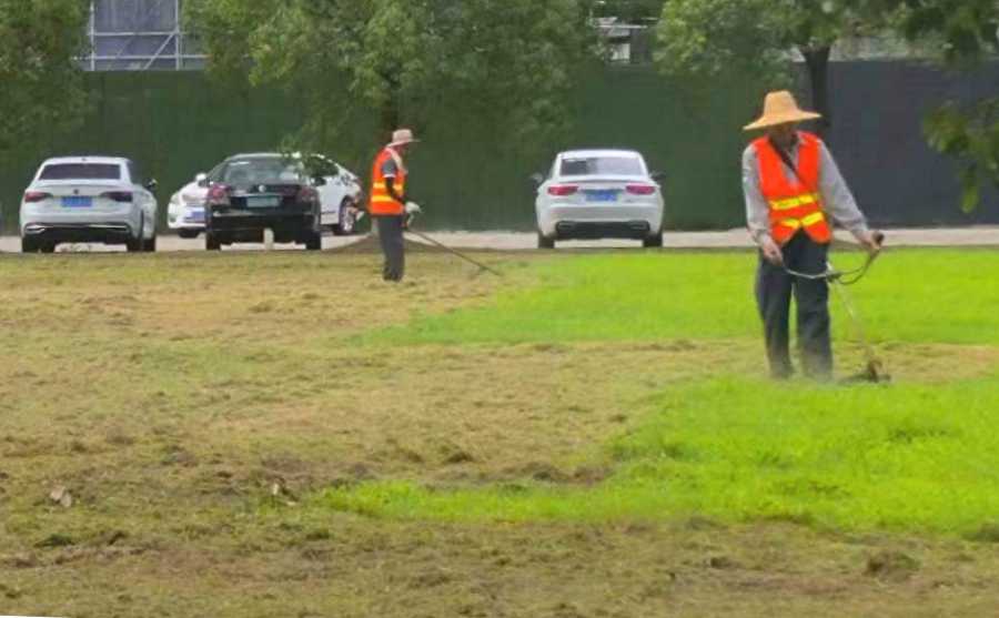 昆山廠區(qū)綠化養(yǎng)護 廠區(qū)綠化養(yǎng)護(圖1)