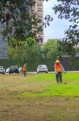 廠(chǎng)區(qū)綠化養(yǎng)護(hù)