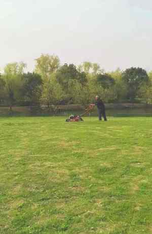 小區(qū)/住宅社區(qū)綠化養(yǎng)護(hù)