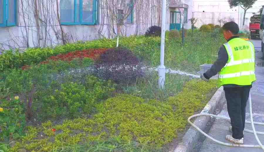 昆山工廠綠化維保 工廠綠化養(yǎng)護(hù)(圖3)