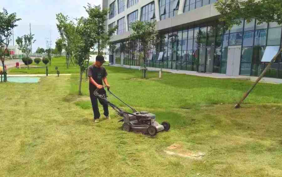 昆山廣場綠化養(yǎng)護 企事業(yè)單位綠化養(yǎng)護(圖1)