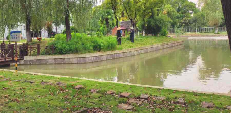 昆山綠化養(yǎng)護 綠化養(yǎng)護(圖1)