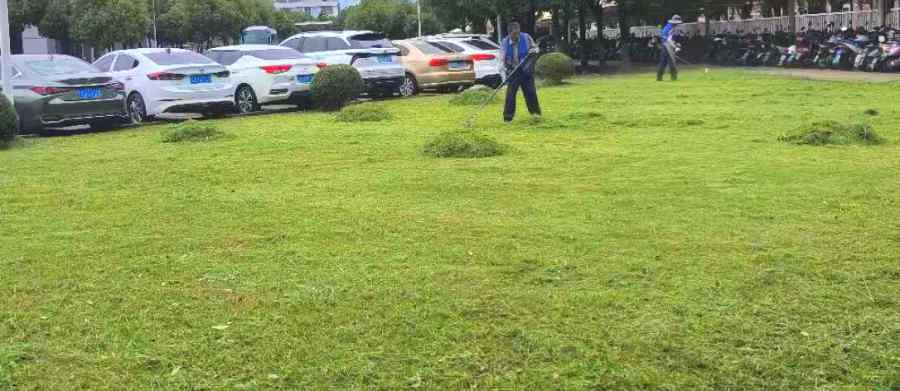 昆山廠區(qū)綠地養(yǎng)護 廠區(qū)綠化養(yǎng)護(圖2)