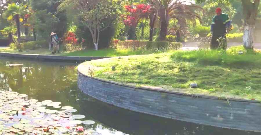 昆山住宅區(qū)綠化養(yǎng)護(hù) 小區(qū)/住宅社區(qū)綠化養(yǎng)護(hù)(圖3)