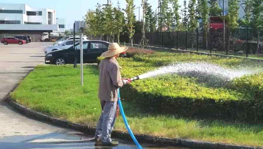 昆山學校綠化養(yǎng)護 學校/醫(yī)院綠地養(yǎng)護(圖1)