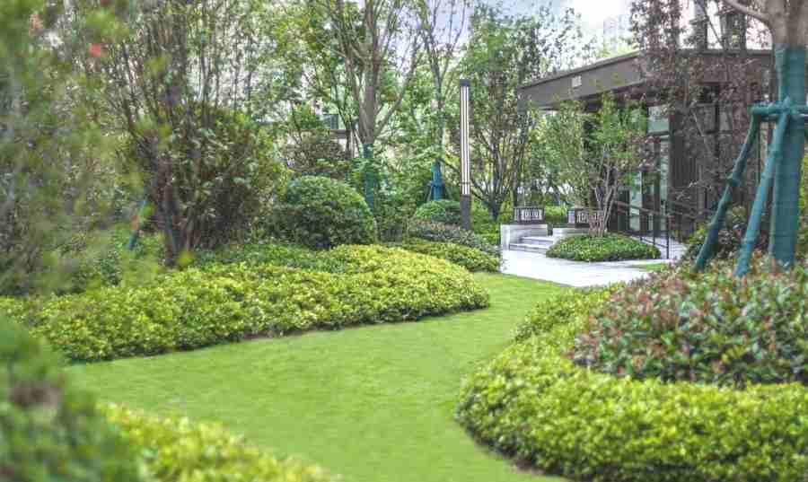 昆山學校綠地養(yǎng)護 學校/醫(yī)院綠地養(yǎng)護(圖3)