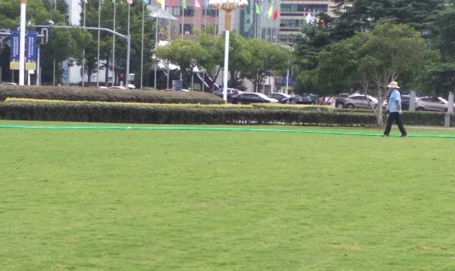 昆山醫(yī)院綠化養(yǎng)護 學校/醫(yī)院綠地養(yǎng)護(圖2)