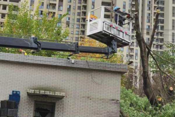 樹(shù)木修剪(圖1)