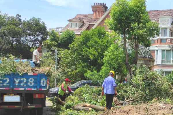 樹(shù)木修剪(圖4)