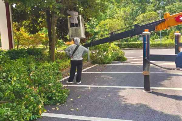 樹(shù)木修剪(圖9)