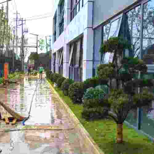 工廠(chǎng)綠化改造