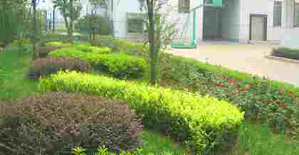 昆山綠化工程竣工驗收備案：流程、要點與意