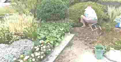 昆山工廠綠化改造：打造綠色生態(tài)廠區(qū)